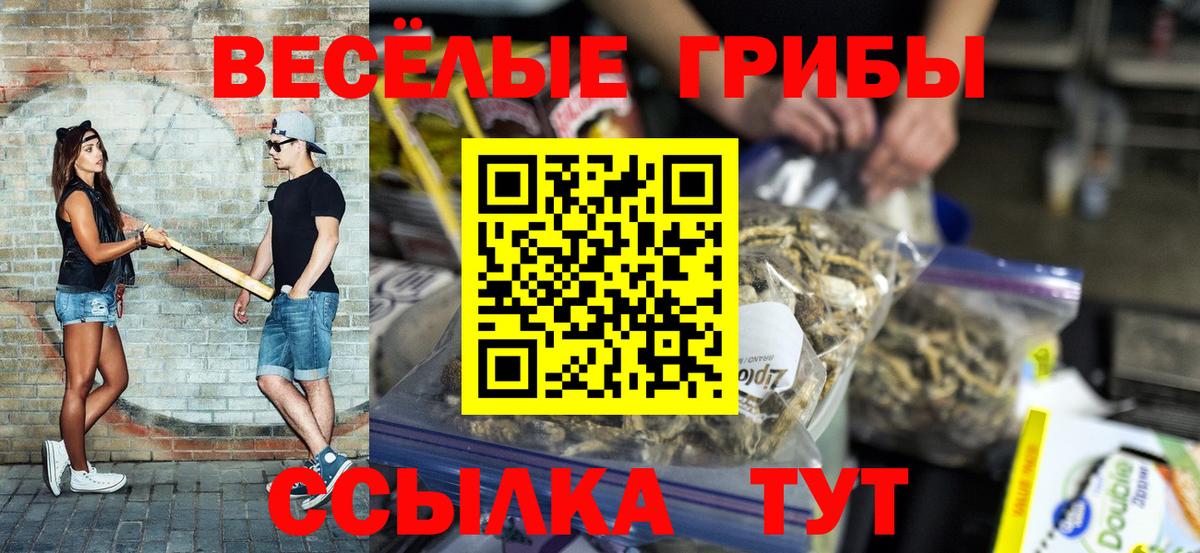 Галлюциногенные грибы GOLDEN TEACHER Ртищево